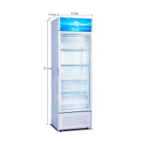 星星(XINGX) LSC-368G 368升 双层玻璃更锁冷 饮品展示更直观 商用展示柜