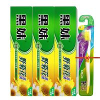 缓解口臭口气黄牙牙渍清新口气家庭特惠装牙膏薄荷香型|乐享套装:160g野菊花3支