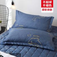 南极人枕套枕头套双人单人学生宿舍枕芯套48x74cm一对拍2 枕套48*74cm一只装不褪色 海豚湾