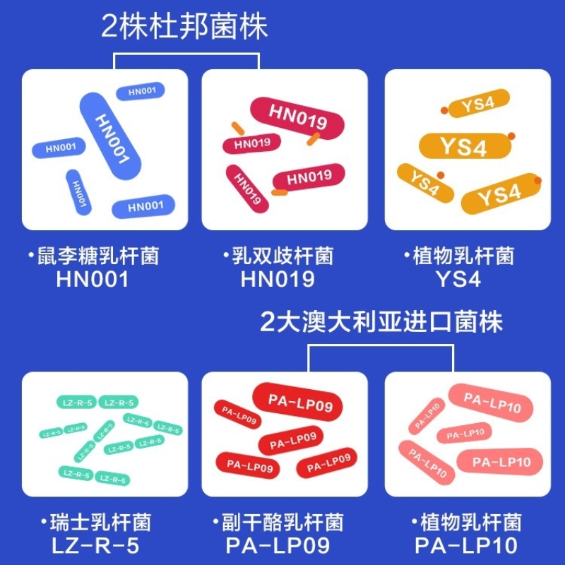 碧生源 活性益生菌大人女性成人官方正品旗舰店红参复合冻干粉高清大图