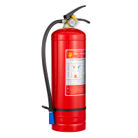 神龙 灭火器 干粉灭火器5公斤 车载家用及商用灭火器5kg MFZ/ABC5