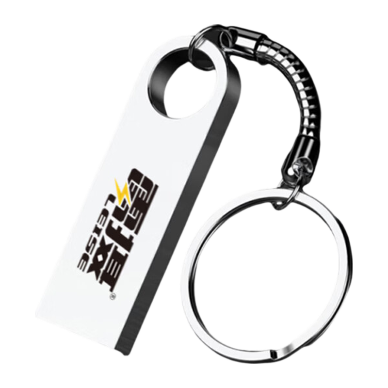 雷摄LEISE 128GB USB2.0 U盘 LSUP1 银色 金属外壳 高速读写 10个起可定制LOGO