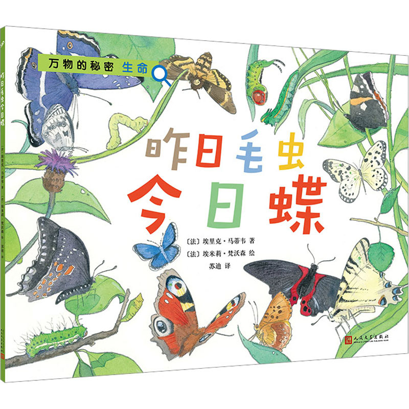 醉染图书昨日毛虫今日蝶9787020156412高清大图