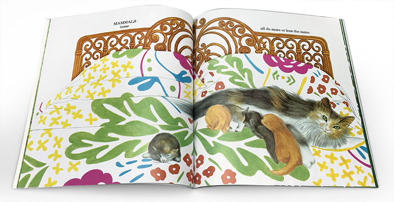 [正版]英文原版Explore Science Animals Born Alive and Well考拉熊 廖采杏书单高清大图