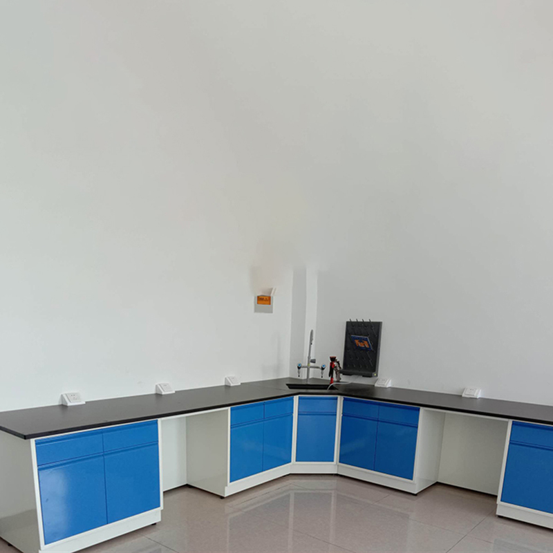 汉诺鑫威全钢实验台钢木PP边台柜试验台化验室工作台实验室桌操作台定制(每米单价)[工厂现做 7天内发货]高清大图