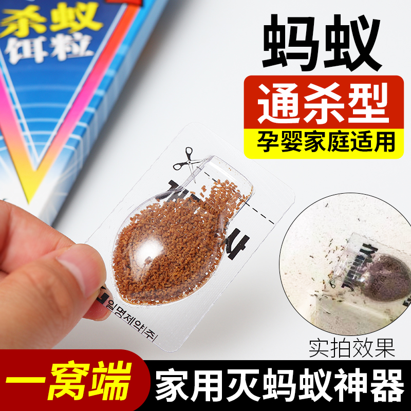 韩国进口日明蚂蚁药家用蚂蚁全窝端室内厨房灭小红蚂蚁黑蚂蚁高清大图