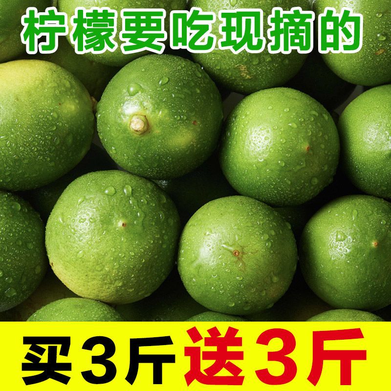 1斤试吃[单果70-100g] 海南青柠檬现摘当季小青柠新鲜水果酸爽批发非1/2/3/6/10斤20个甘鲜生