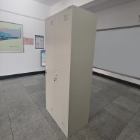 鑫金虎 两门更衣柜铁皮柜 900*500*2000mm/个