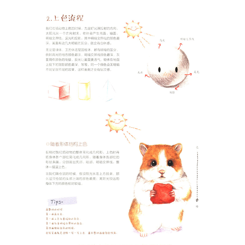 正版新书]呆萌小动物画起来:喵星人与汪星人福阿包 著9787539497高清大图