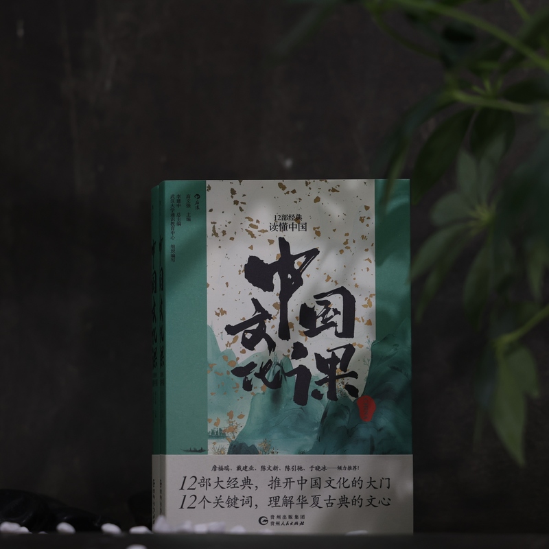 中国文化课:12部经典读懂中国 [正版] 中国文化课 12部经典读懂中国 武汉大学通识教育文化经典入门 人文通识 中高清大图