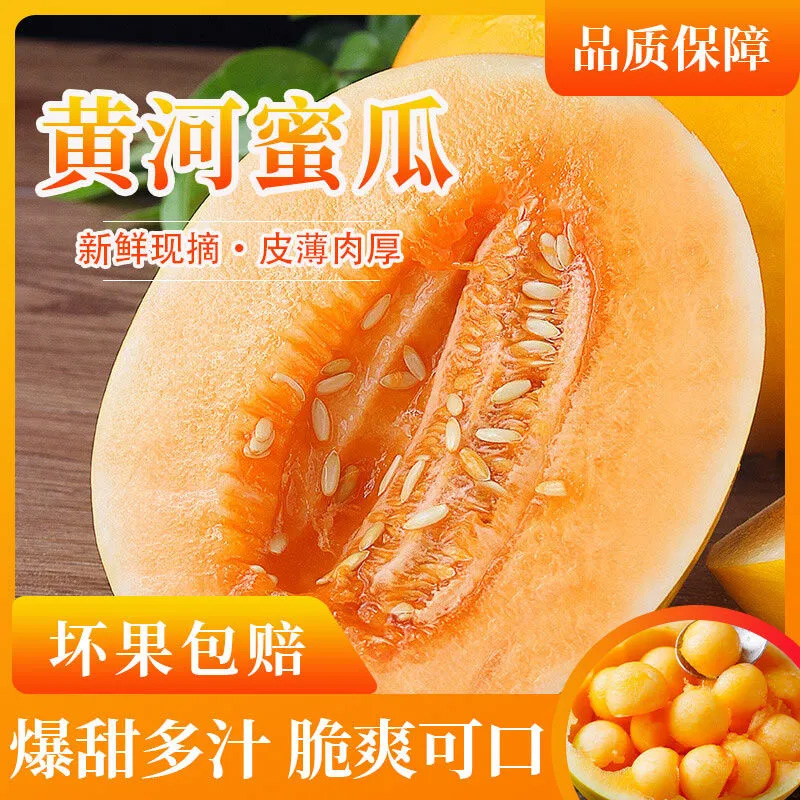 [清甜大果]五个农民陕西黄河蜜甜瓜8.5-9斤优选大果新鲜当季水果整箱5斤黄金哈密瓜民勤蜜瓜孕妇水果高清大图