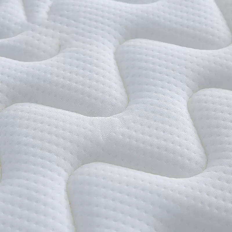 阿拉贡椰棕床垫家用棕垫B6cm厚折叠(防螨针织+0胶水天然椰棕)1000mm*2000mm