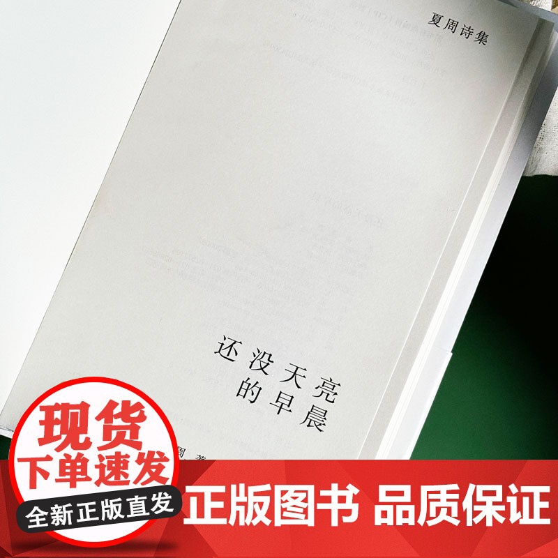 还没天亮的早晨 诗人夏周的自我发现之旅 夏周诗集 华东师范大学出版社高清大图