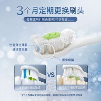 飞利浦(Philips)牙刷头 标准型4支装+迷你型2支装清洁刷头 适配HX9362/HX9302等 HX6066/69