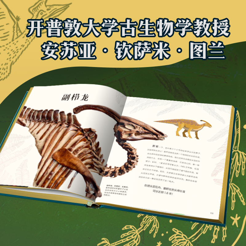 DK远古生物大发现 [正版]4岁+DK远古生物大发现 安苏亚钦萨米图兰著 超人气科普大V江氏小盗龙审校 值得珍藏的古生物高清大图