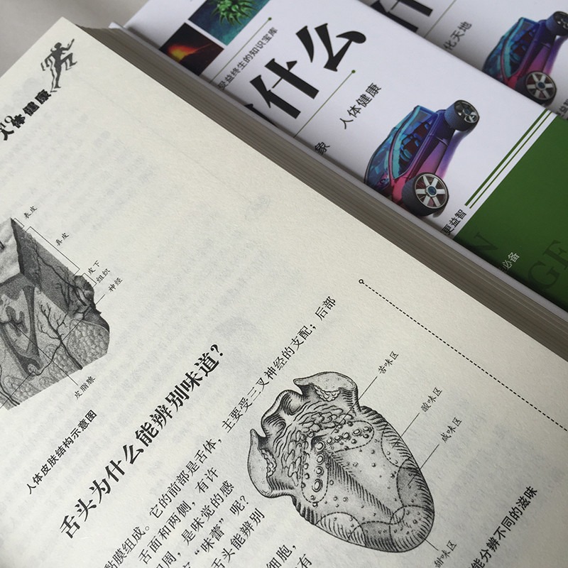 [全4册]新编十万个为什么 [正版]十万个为什么小学生版 新编精装全4册 7-11岁儿童科普读物 小学一二三四年级学生课高清大图