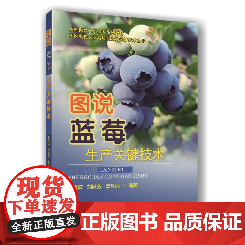 图说蓝莓生产关键技术 于强波 刘淑芳 孟凡丽 编 9787565527722 中国农业大学出版社高清大图