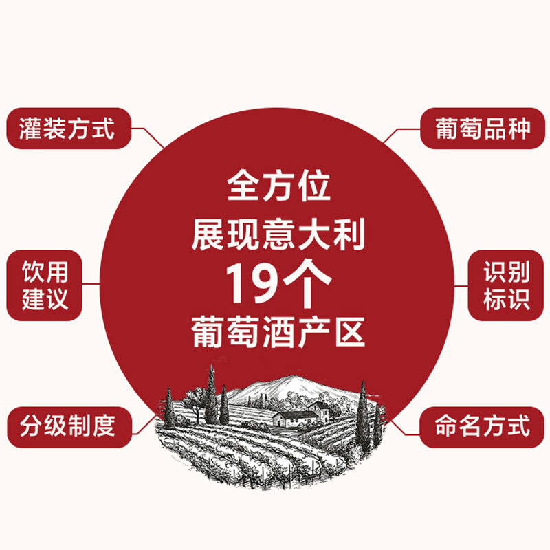 [正版]干了这杯意大利 朱江著 萄酒始于法国 终于意大利 意大利葡萄酒 葡萄品种 饮用建议 识别标识 出版社图书高清大图