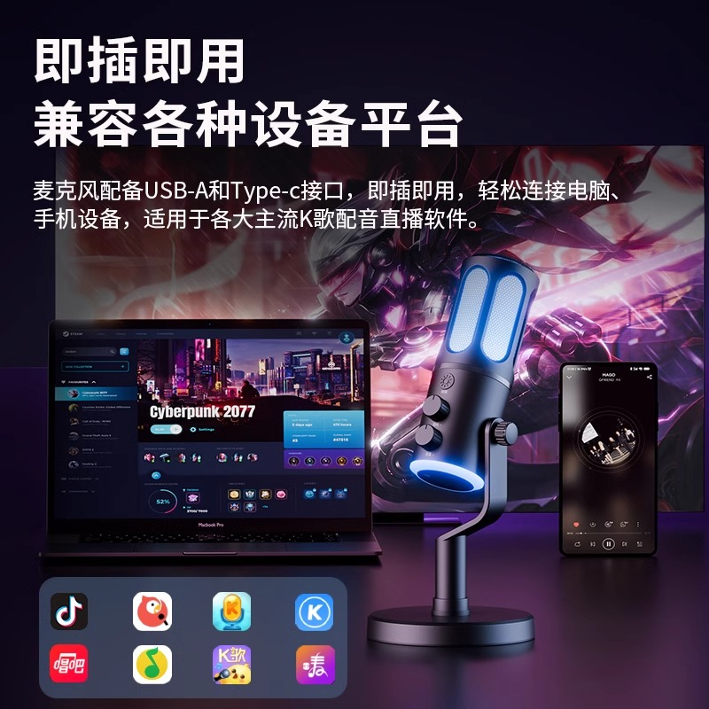 索爱(soaiy)SC100直播麦克风话筒K歌电脑台式笔记本声卡收音麦游戏电竞主播网课语音手机电容USB监听降噪高清大图