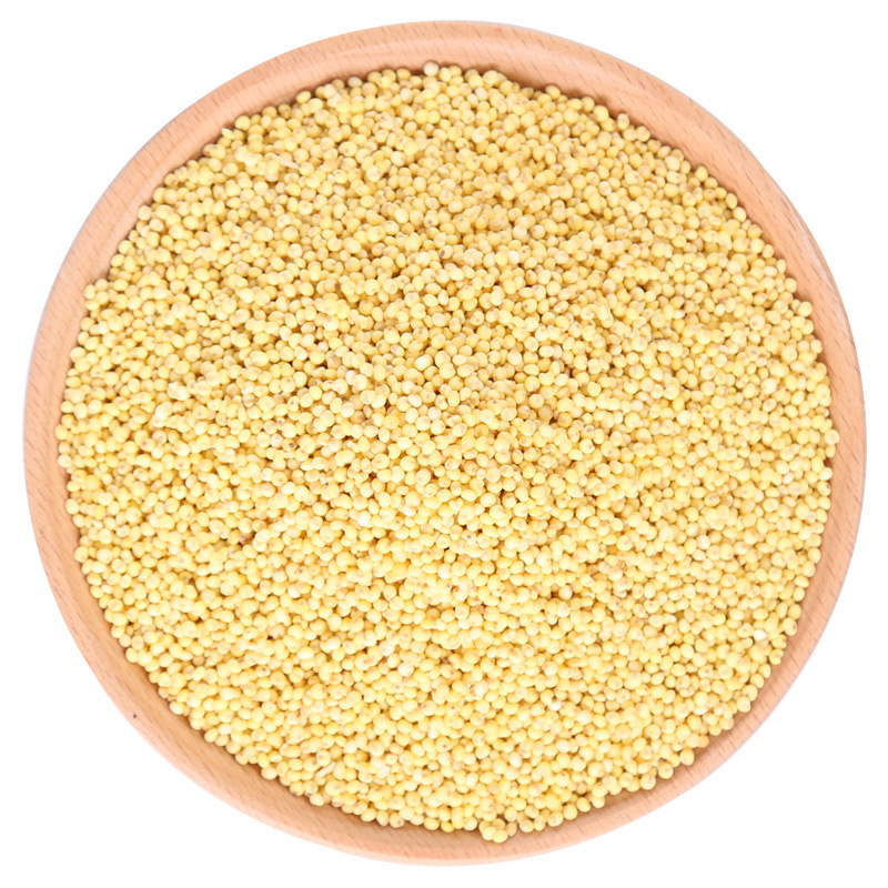 鹤来香大黄米500克煮粥包子粽子粘小/米五谷杂粮散装 五谷杂粮 五谷