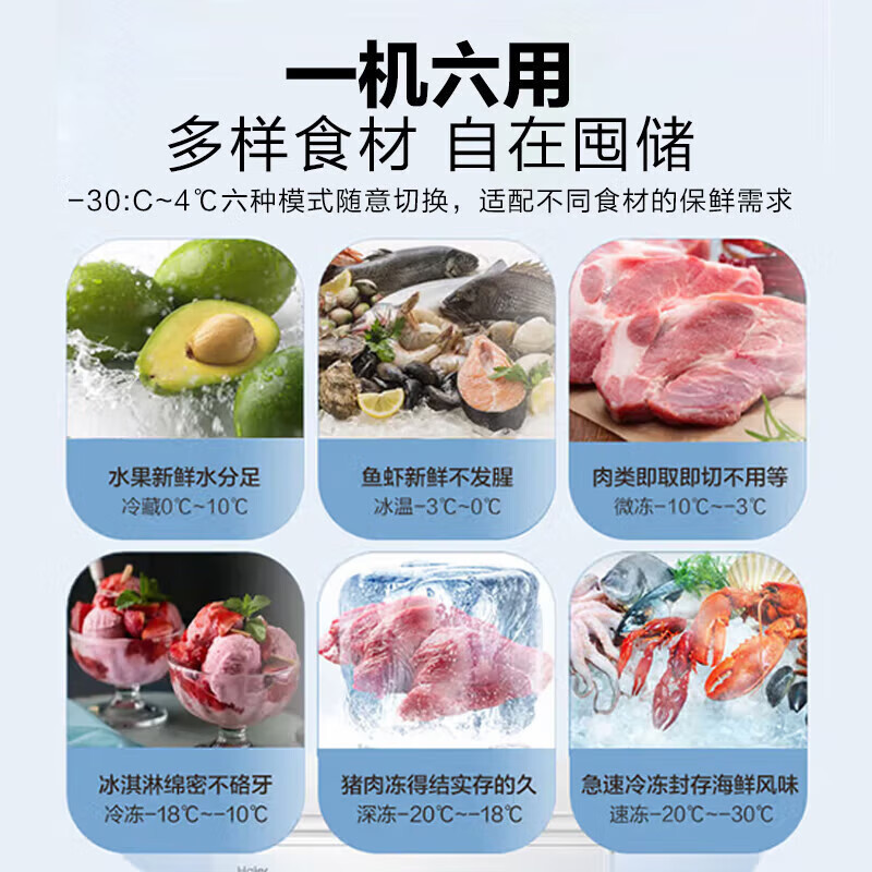 海尔(Haier)201升冰柜家用商用冷柜迷你小冷柜小型冷冻柜一级能效节能速冻小冰箱 BC/BD-201高清大图