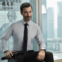 Youngor/雅戈尔秋季男士条纹衬衫全棉DP免烫商务衬衣男7083多色选