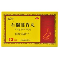奇正 石榴健胃丸 12丸 温胃益火不良 食欲不振 寒性腹泻