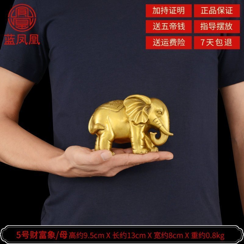 家柏饰(CORATED)铜大象摆件象一对吸水象客厅装饰品大号 12号财富象咖色扬鼻高清大图
