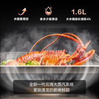 方太(FOTILE)蒸烤烘炸炖一体机 55L大容量 蒸烤一体机嵌入式 方太蒸烤箱家用蒸烤套装 悬浮星空屏 空气炸锅EP1