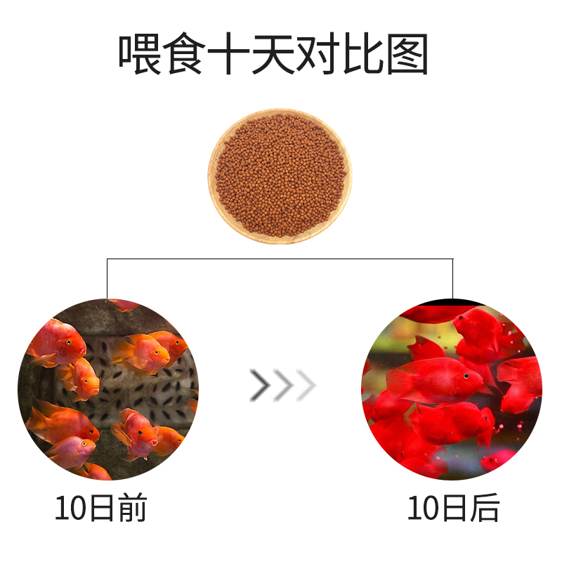 红鹦鹉鱼食增红增色鱼饲料发财鱼地图鱼招财鱼食颗粒1000g