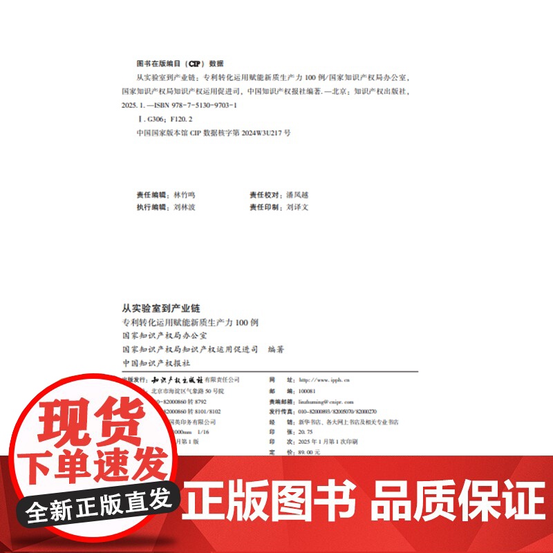2025新书 从实验室到产业链 知识产权出版社 9787513097031高清大图