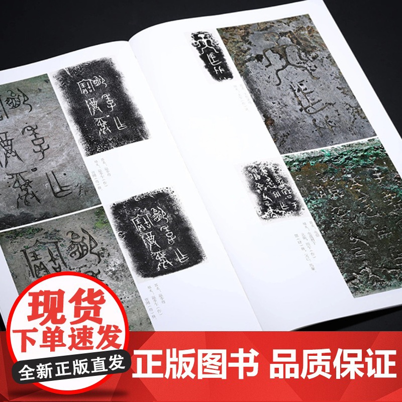 正版 金文书法大系第一辑合集(全5册)特别版 普通版 春秋商晚西周早中晚期金文原拓精品集结 上海书画出版社王立翔 朱高清大图