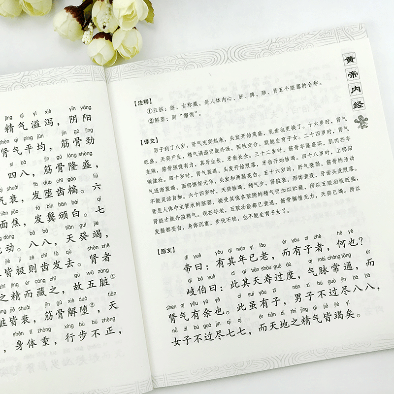 颜氏家训 [正版]国学经典诵读丛书 三字经孝经黄帝内经庄子大学论语注音版 幼儿童版小学生启蒙故事书籍译注一二三年级课外书