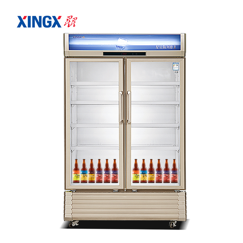 星星（XINGX）LSC-810WD 商用大容量双门立式冷柜无霜风冷陈列展示冰柜冷藏柜 金色