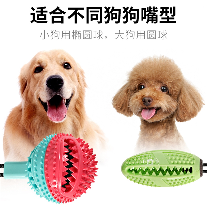 狗狗玩具米妮耐咬磨牙宠物解闷幼犬小型犬小狗自己玩吸盘漏食球