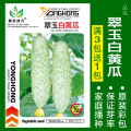蔬菜种子四季播种阳台农家盆栽香菜菠菜生菜韭菜小葱草莓籽孑大四 均码 翠玉白黄瓜约30粒