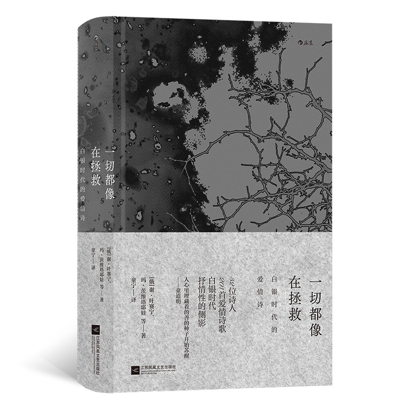 [正版] 一切都像在拯救 白银时代的爱情诗 叶赛宁茨维塔耶娃阿赫玛托娃爱情诗歌 俄国现代主义白银时代文学 外国诗歌文