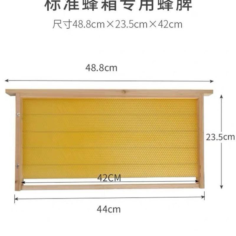 蜂巢框中蜂成品巢框 巢脾 意蜂带框巢础杉木巢框蜂箱专用养蜂工具 中蜂成品巢框(5个装)