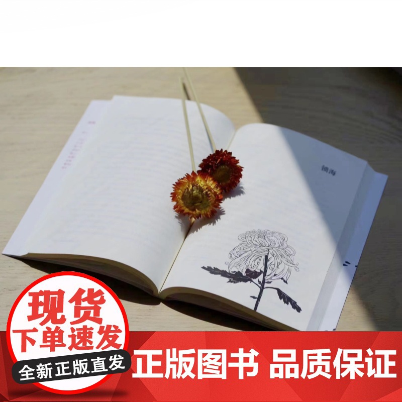 唐行小姐:被卖往异国的少女们 森崎和江作品人口妇女买卖格致出版社格尔尼卡系列世纪史高清大图