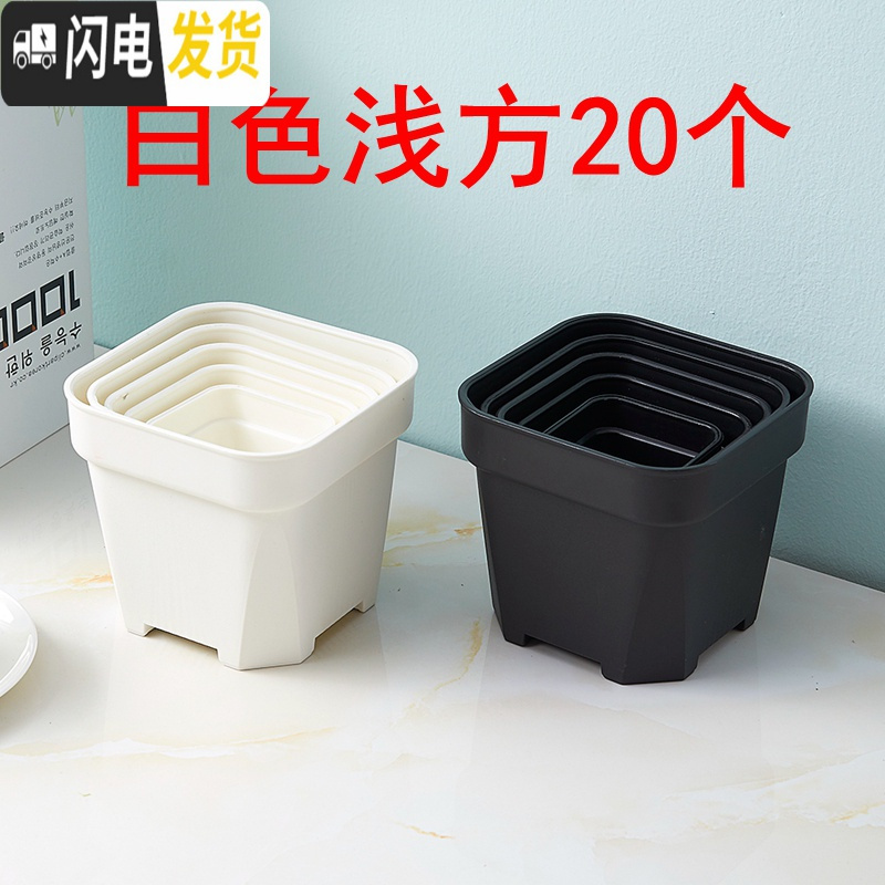 三维工匠经典加强特厚黑白小方大方多肉家庭园艺植物塑料磨砂浅方花盆 白色浅方20个 8cm口径花盆容器