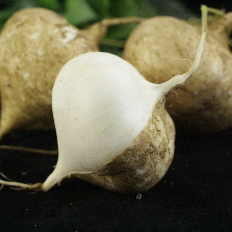 广西凉薯现挖新鲜蔬菜水果农家自种白地瓜豆薯番薯 9斤装(精选)泡沫箱