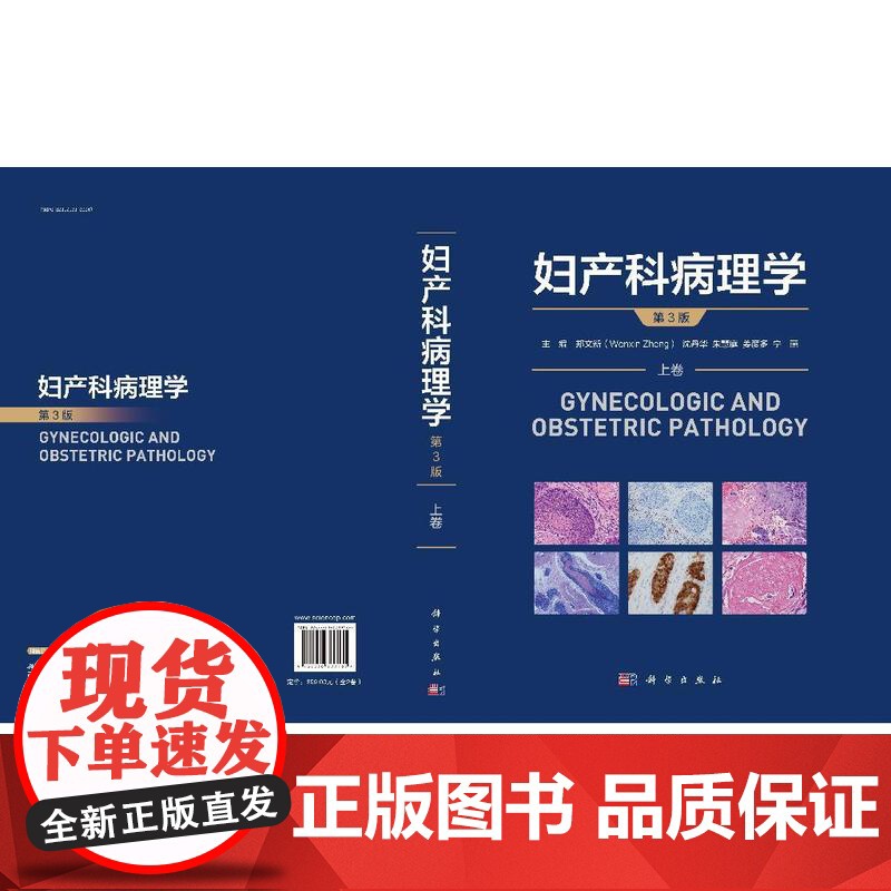 妇产科病理学 第3版三版上下卷 郑文新 沈丹华 朱慧庭 姜彦多 宁燕女性生殖系统疾病病理学知识HPV子宫内膜癌鉴别诊断肿高清大图