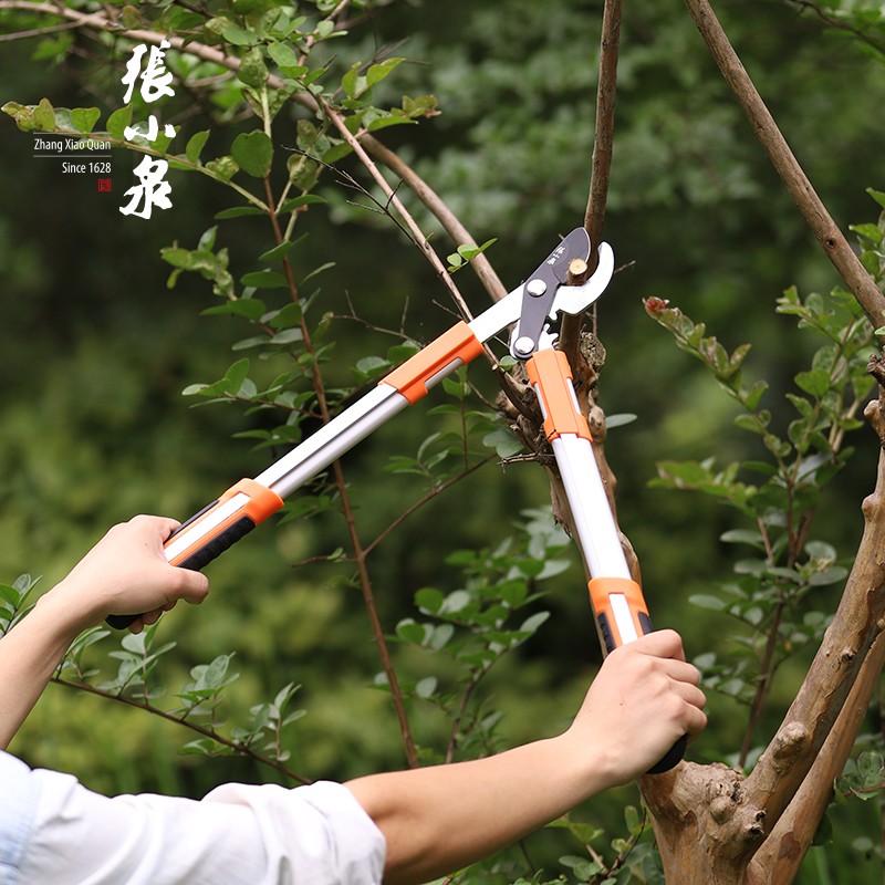 张小泉园艺剪刀整枝剪粗枝剪果园剪园林高枝剪果树剪强力修剪旁枝大剪子高清大图