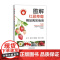 图解红颜草莓精品高效栽培(特色果品提质增效技术丛书) 323247 2024.09 祝宁,宗静,陈怀勐,孙健