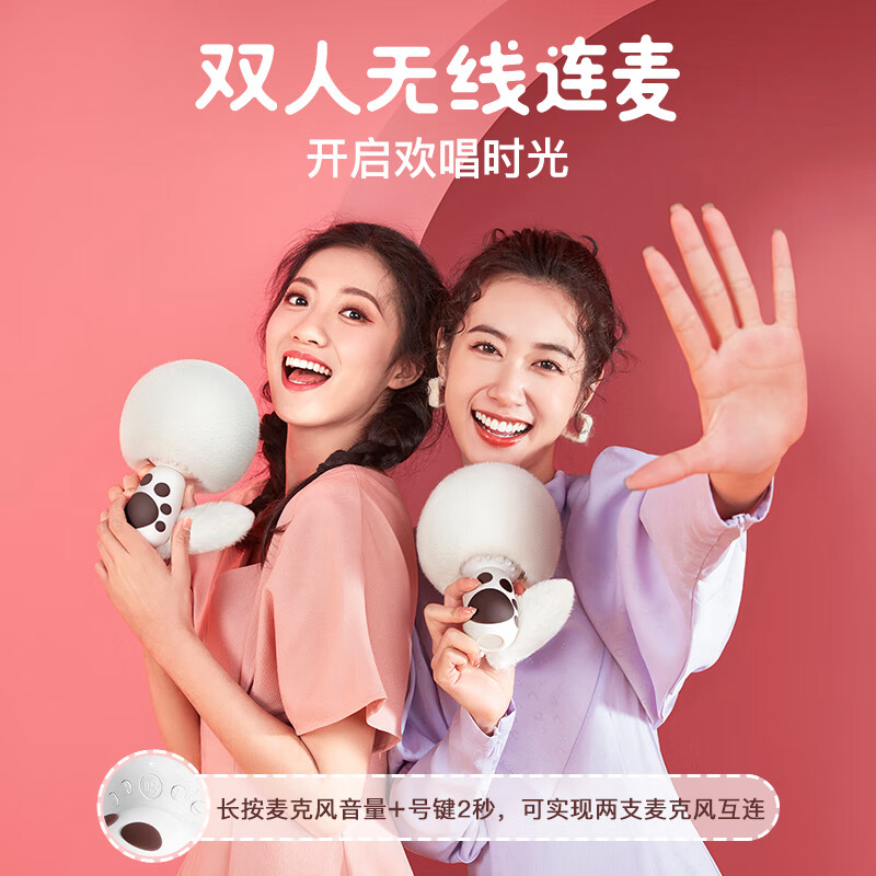 唱吧 小巨蛋G21麦克风高清大图