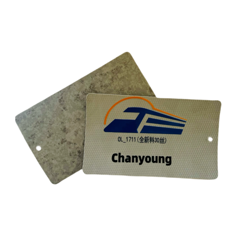 晨洋(Chanyoung)会议室防滑耐磨PVC地板革 HYTY-014 平米高清大图