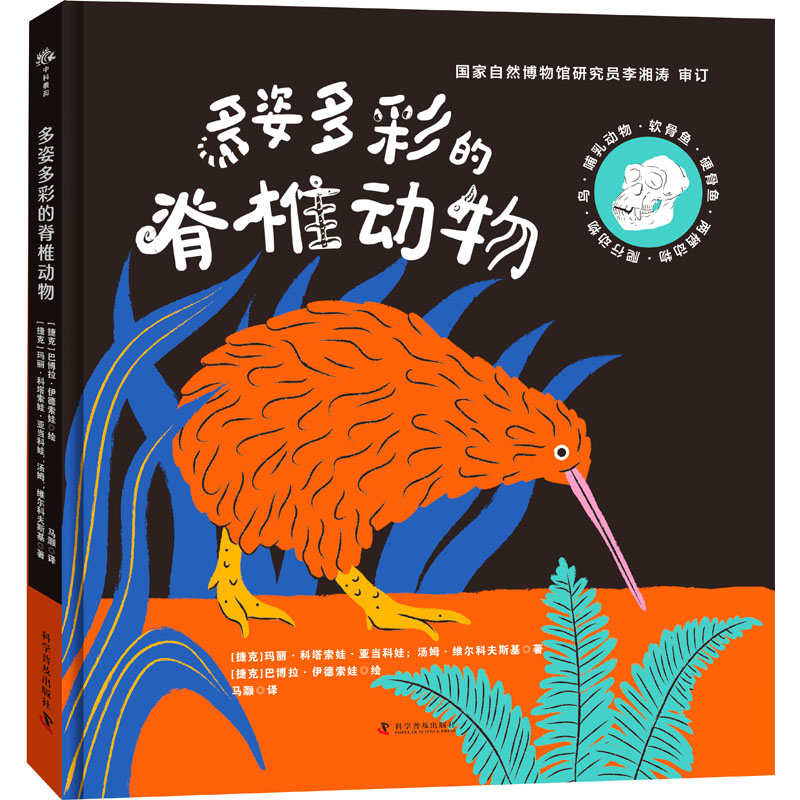 多姿多彩的脊椎动物高清大图
