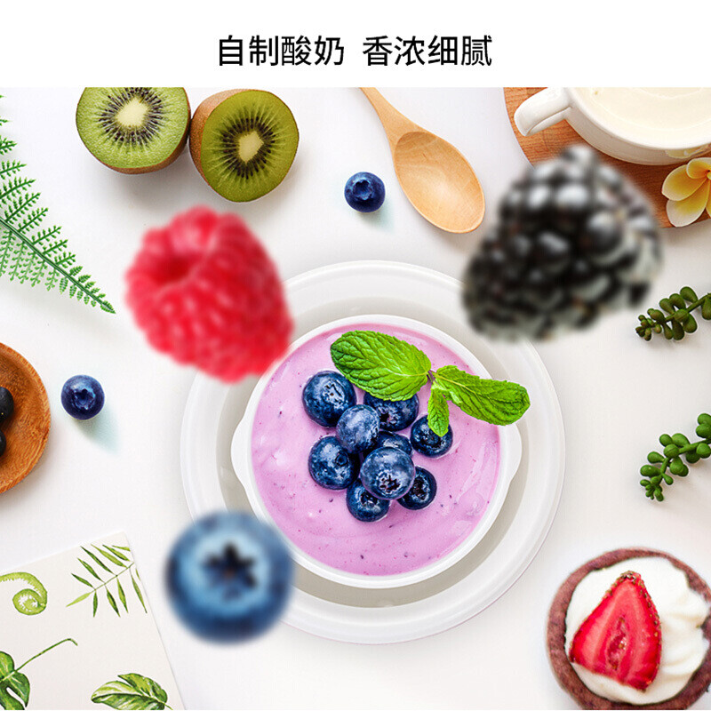 九阳(Joyoung) SN-10J91 酸奶机 家用全自动小型酸奶机精准控温高清大图