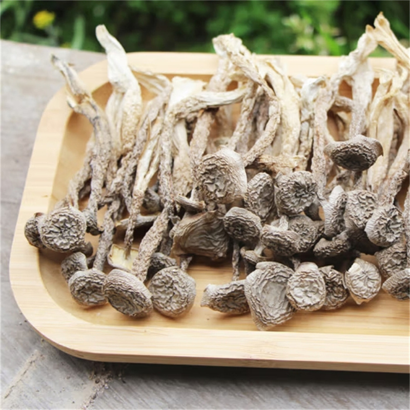 鹿茸菇干货大朵无碎无硫熏脆脆菇蘑云南菌特产正品官方旗舰店高清大图