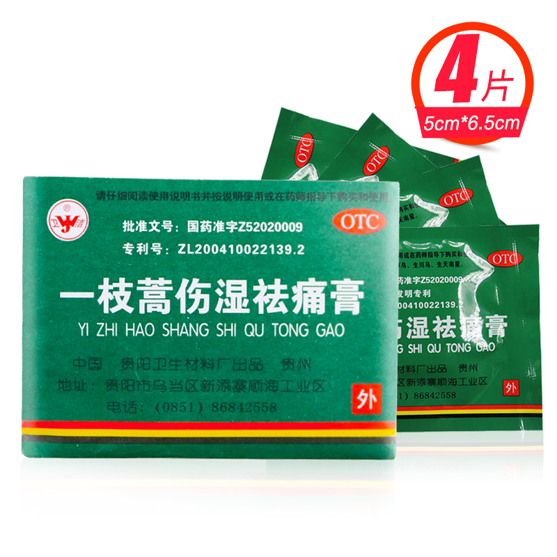 卫洁 一枝蒿伤湿祛痛膏